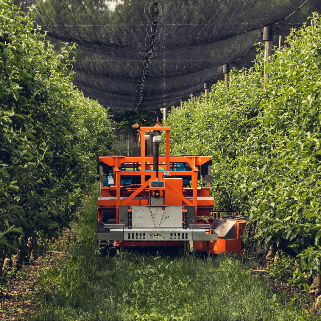 Slopehelper moduláris gyümölcsszedő robot - Image 12